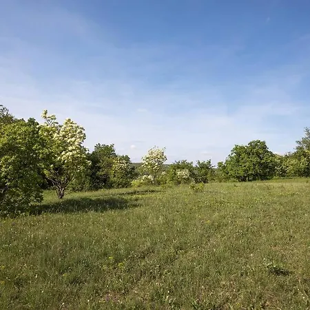 Easy Bogoma - 2 Apartments, Breathtaking Views Case de vacanță *